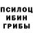 Галлюциногенные грибы Cubensis Evgeniy Demonov