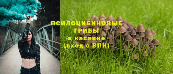 трава Арсеньев