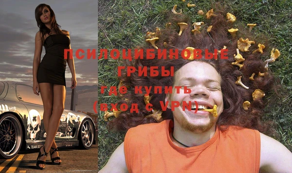 трава Арсеньев