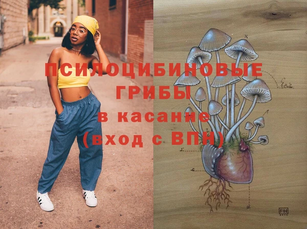 не бодяженный Аркадак